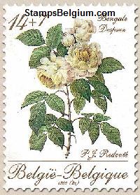 Timbre Belgique Yvert 2354