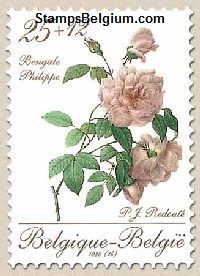 Timbre Belgique Yvert 2355