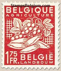 Timbre Belgique Yvert 764