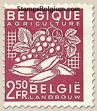 Timbre Belgique Yvert 767