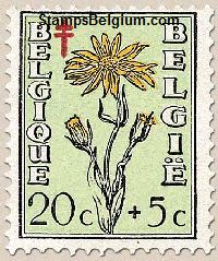 Timbre Belgique Yvert 814