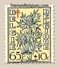 Timbre Belgique Yvert 815