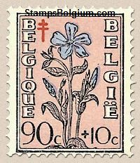 Timbre Belgique Yvert 816